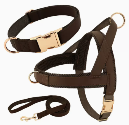 Personalized Dog Harness Leash Set