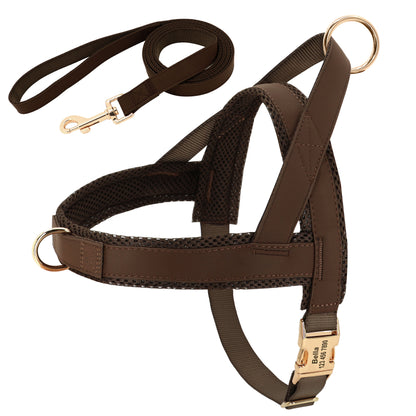 Personalized Dog Harness Leash Set